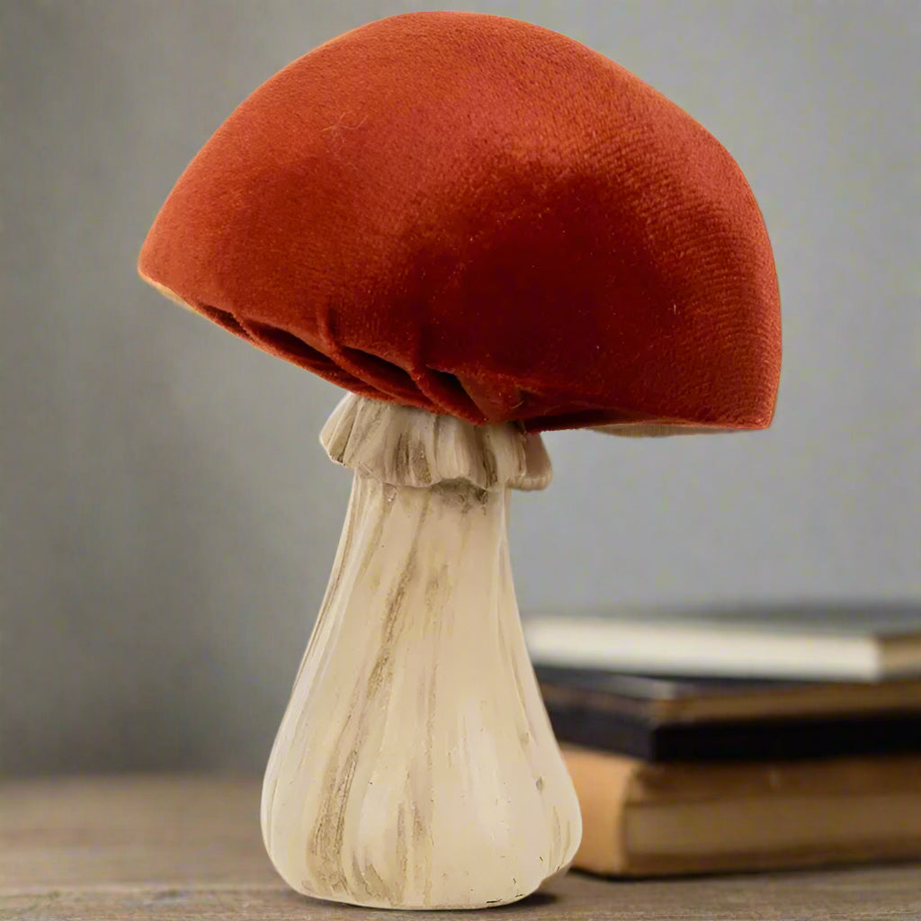 Small Velvet Mushroom