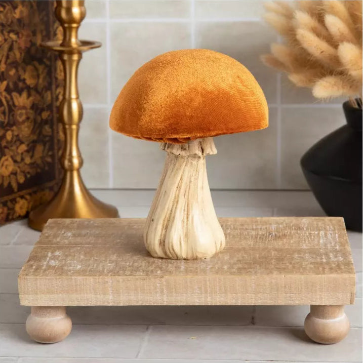 Small Velvet Mushroom