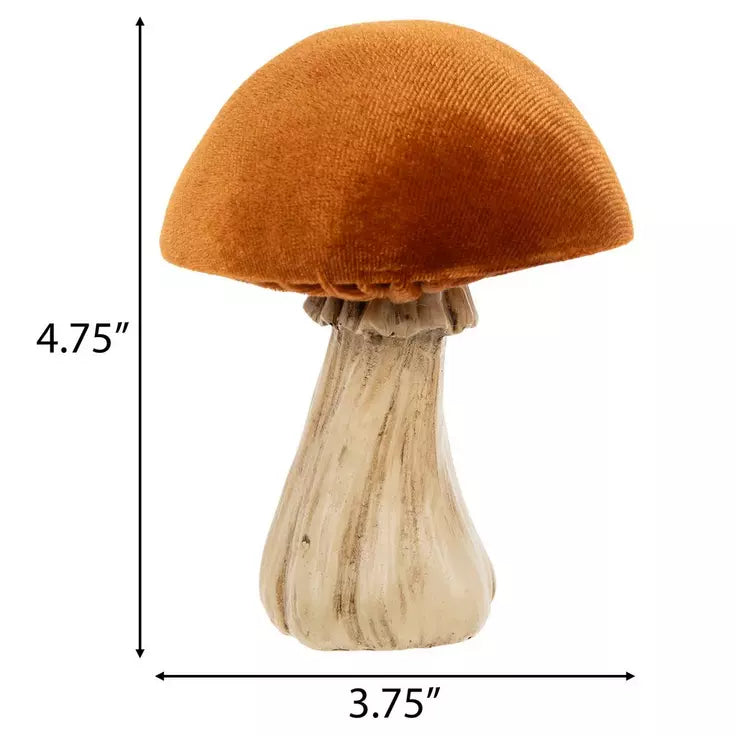 Small Velvet Mushroom