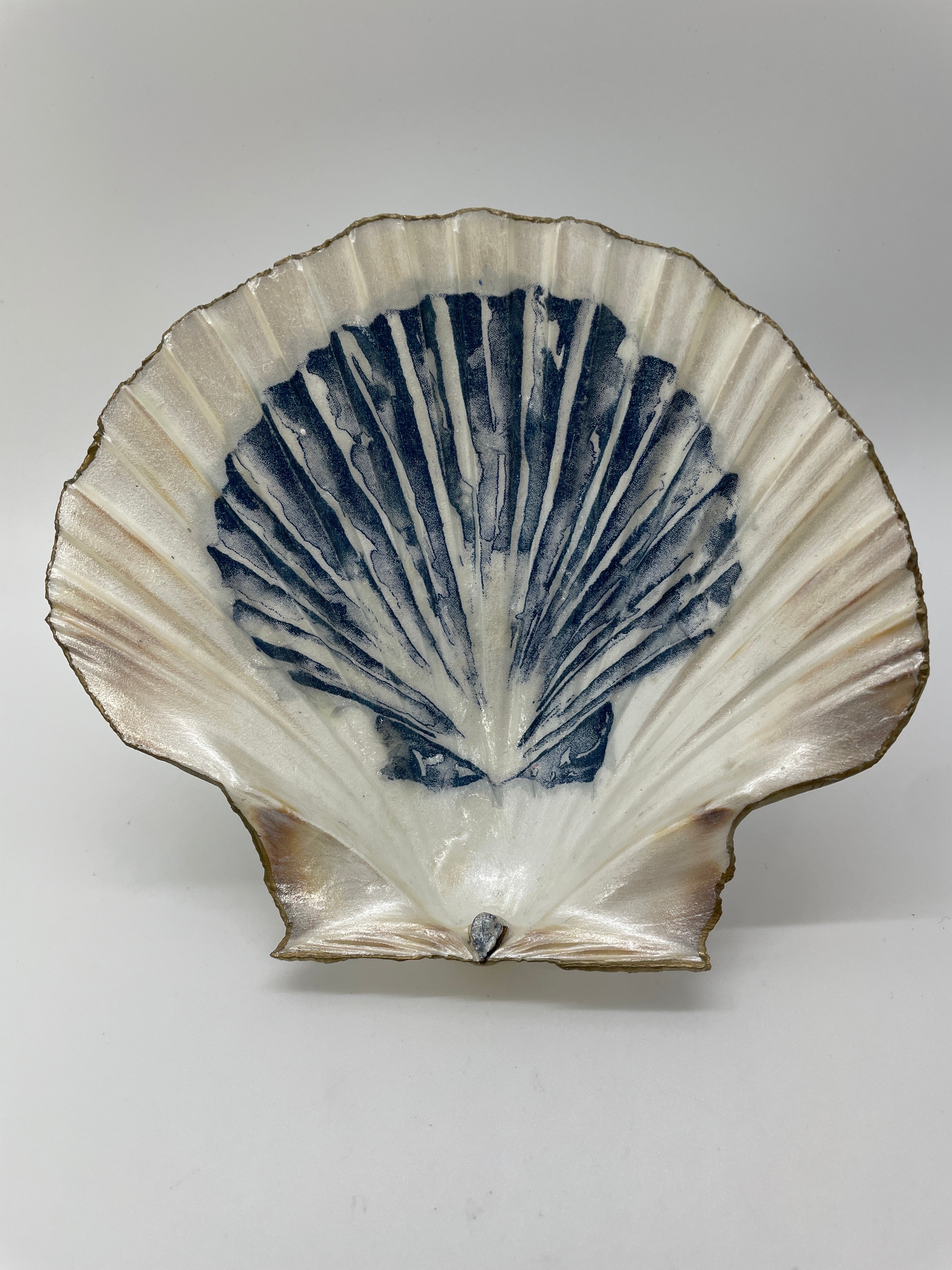 Decoupage Blue Scallop Shell Jewelry Dish