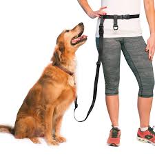 Hands-free Pet Leash