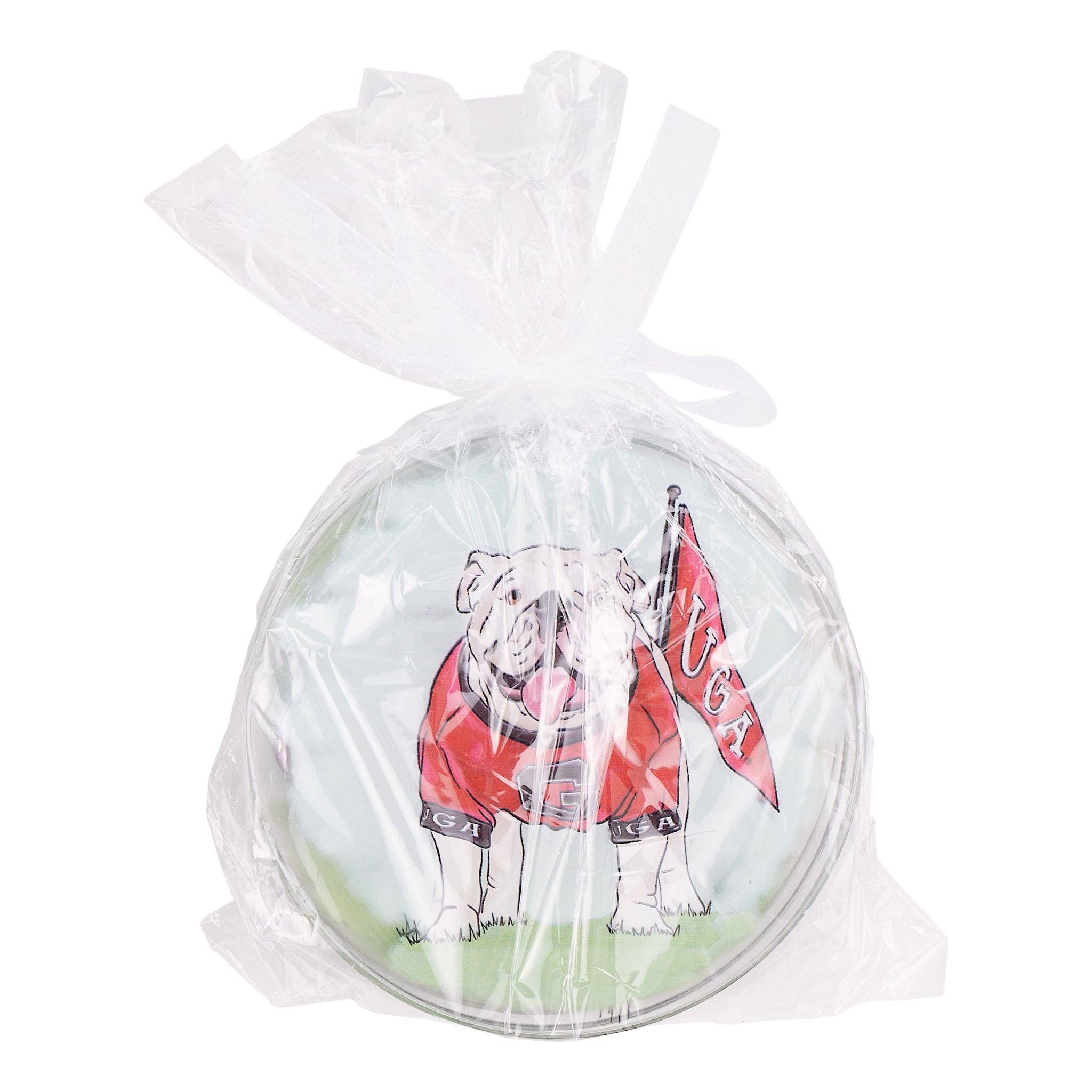 Georgia Ornament Set/4