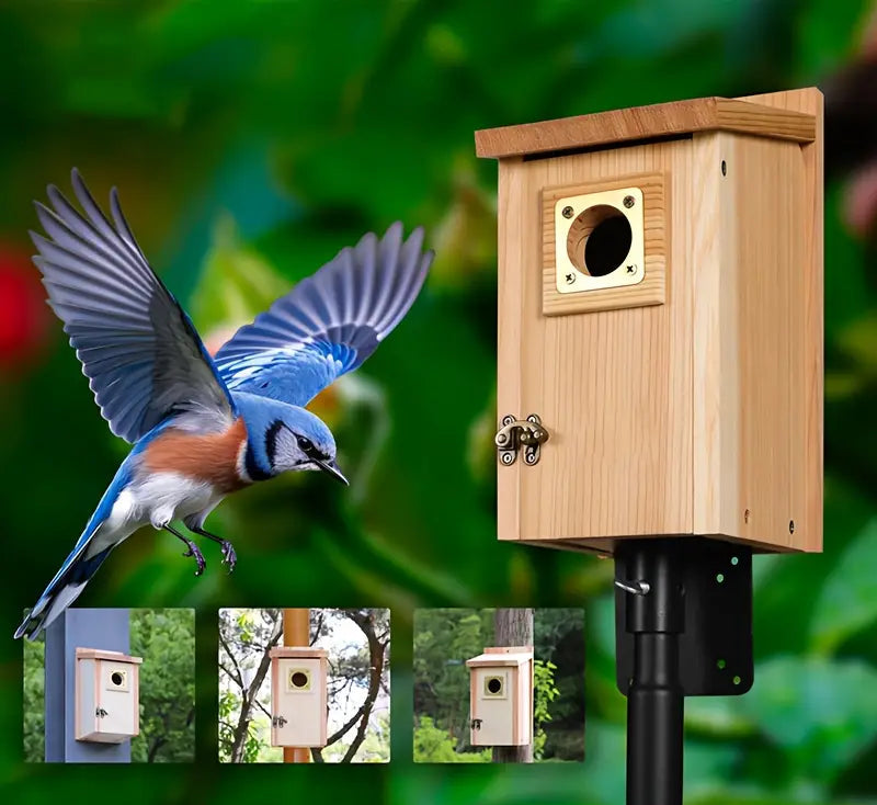 Pine Birdhouse Kits