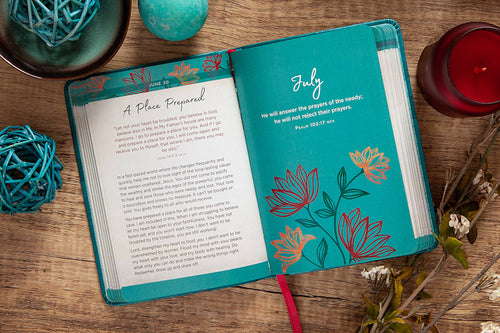 365 Days of Prayer for Depression and Anxiety (Devotional)