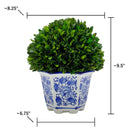 Boxwood Ball Topiary in Hexagon Blue & White Ceramic Pot