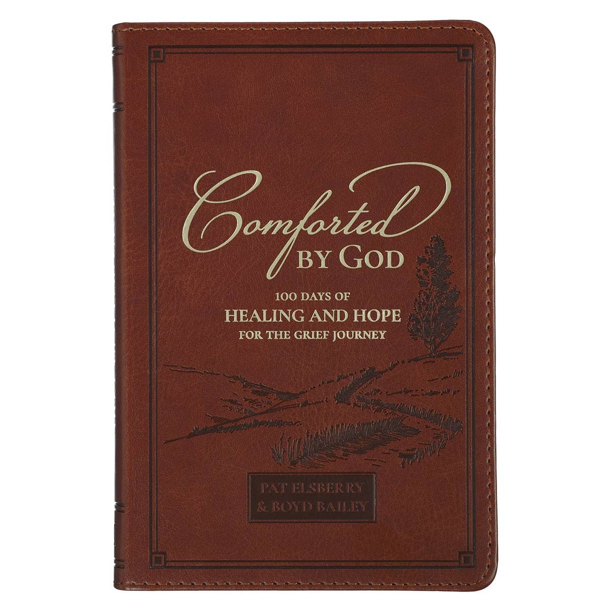 Comforted by God Devotional