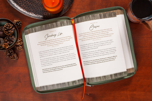 Strength for Today for Men (Devotional, Father's Day Gifts)