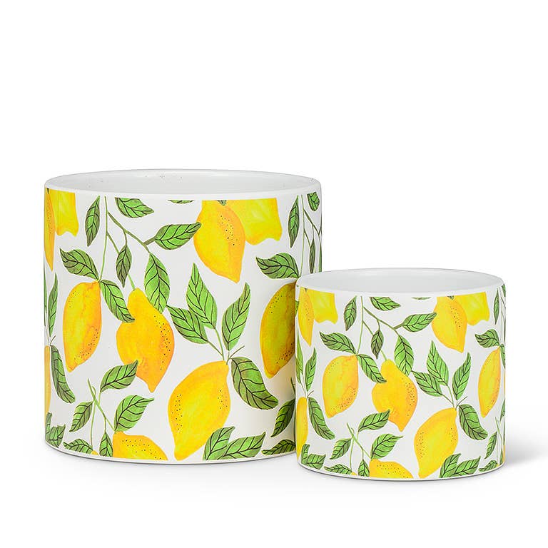 Sm Birds on Wire Planter-4.5" D