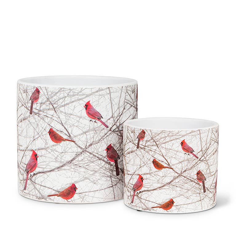 Small Cardinals in Bush Planter-4.5" D