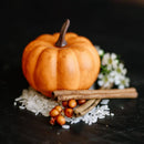 Limited Edition | Shampoo Bars | Pumpkin Spice
