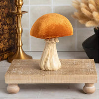 Small Velvet Mushroom