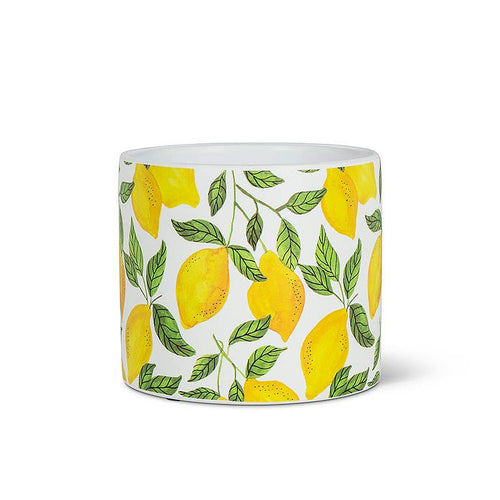 Sm Birds on Wire Planter-4.5" D
