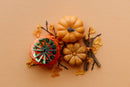Limited Edition | Shampoo Bars | Pumpkin Spice