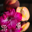 Hibiscus Peach Conditioner Bar