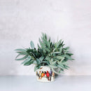 Sm Birds on Wire Planter-4.5" D