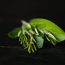 Rosemary & Biotin Conditioner Bar Volumizing & Strengthening