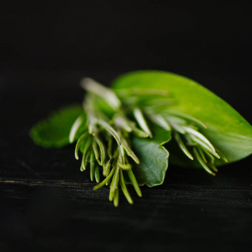 Rosemary & Biotin Conditioner Bar Volumizing & Strengthening