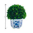 Boxwood Ball Topiary in Hexagon Blue & White Ceramic Pot