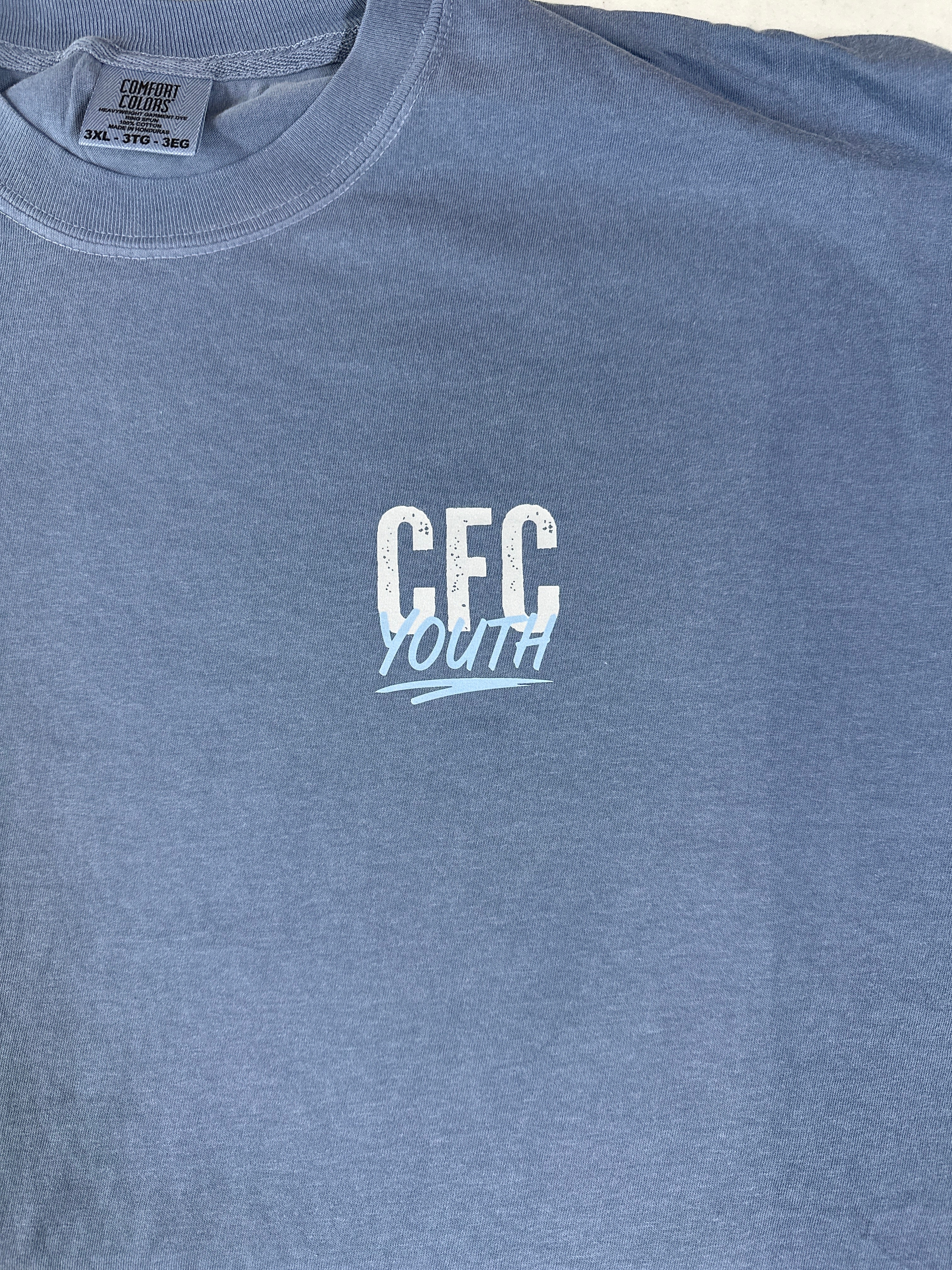 Timothy 4:12 T-Shirts (Comfort Colors)