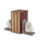 2 Resin Coral Bookends