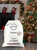 Santa Sacks - Special Delivery (19"x26")