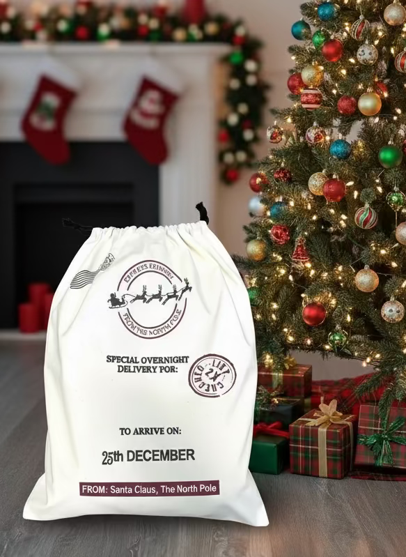 Santa Sacks - Special Delivery (19"x26")