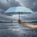 Compact umbrella with carrying case