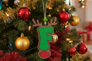 Personalized Reindeer Letter Ornament