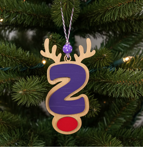Personalized Reindeer Letter Ornament