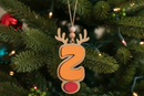 Personalized Reindeer Letter Ornament