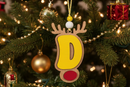 Personalized Reindeer Letter Ornament