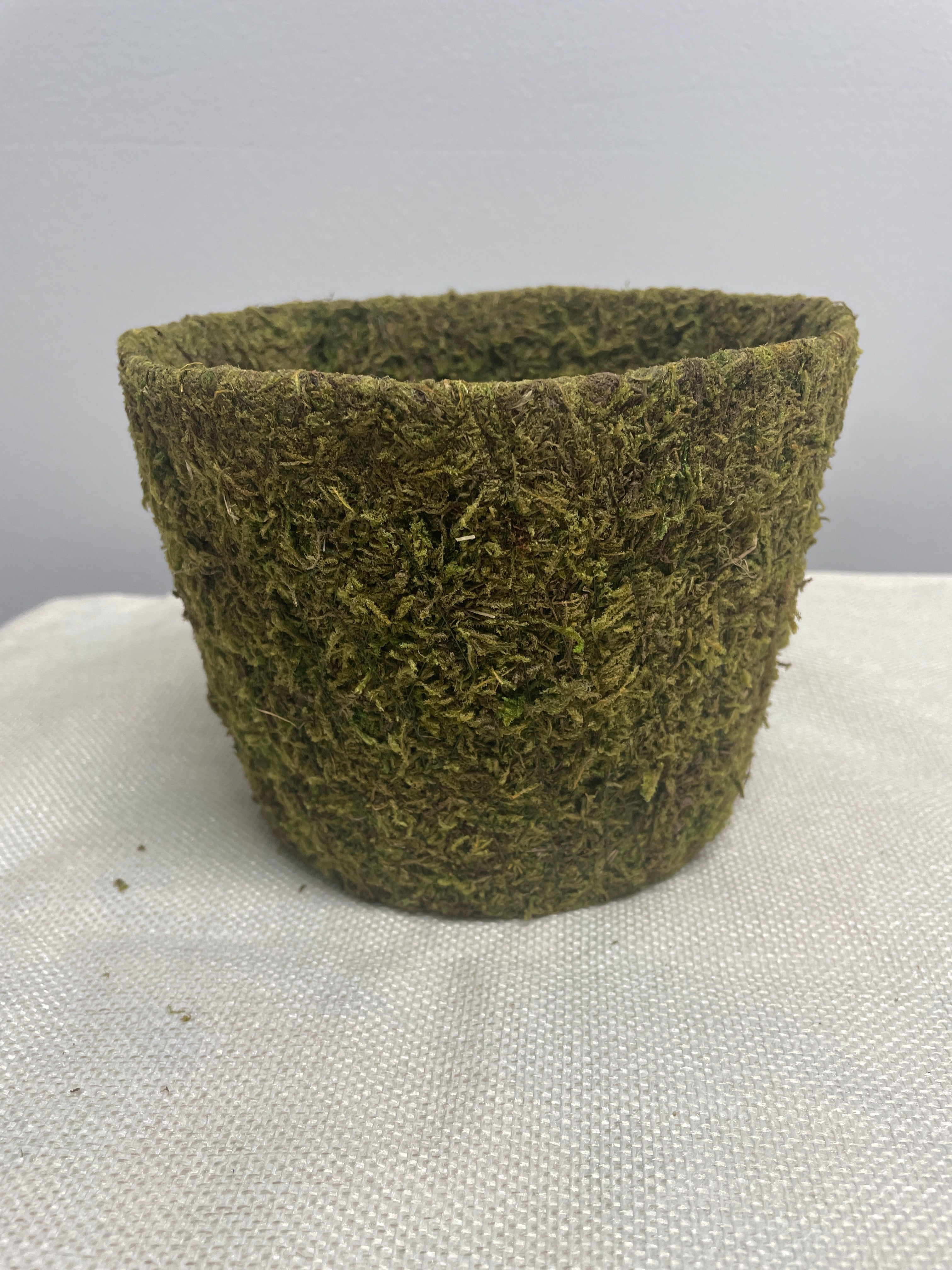 Moss Planter