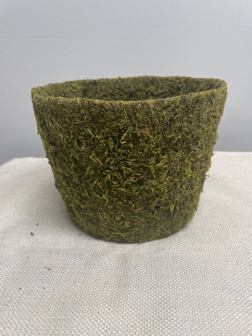 Moss Planter