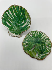Scallop Shell Ring Dish and Sand Dollar Set