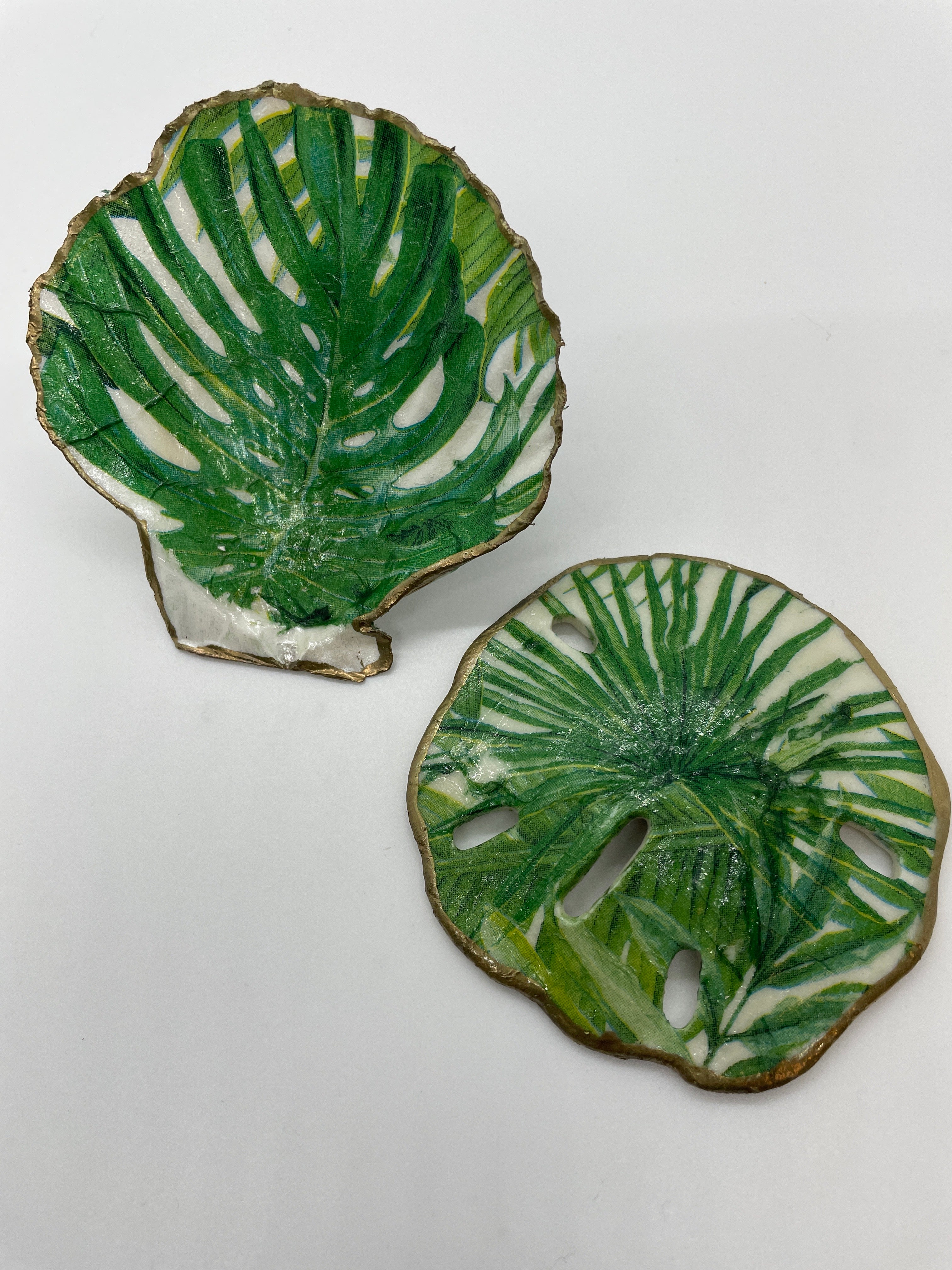 Scallop Shell Ring Dish and Sand Dollar Set