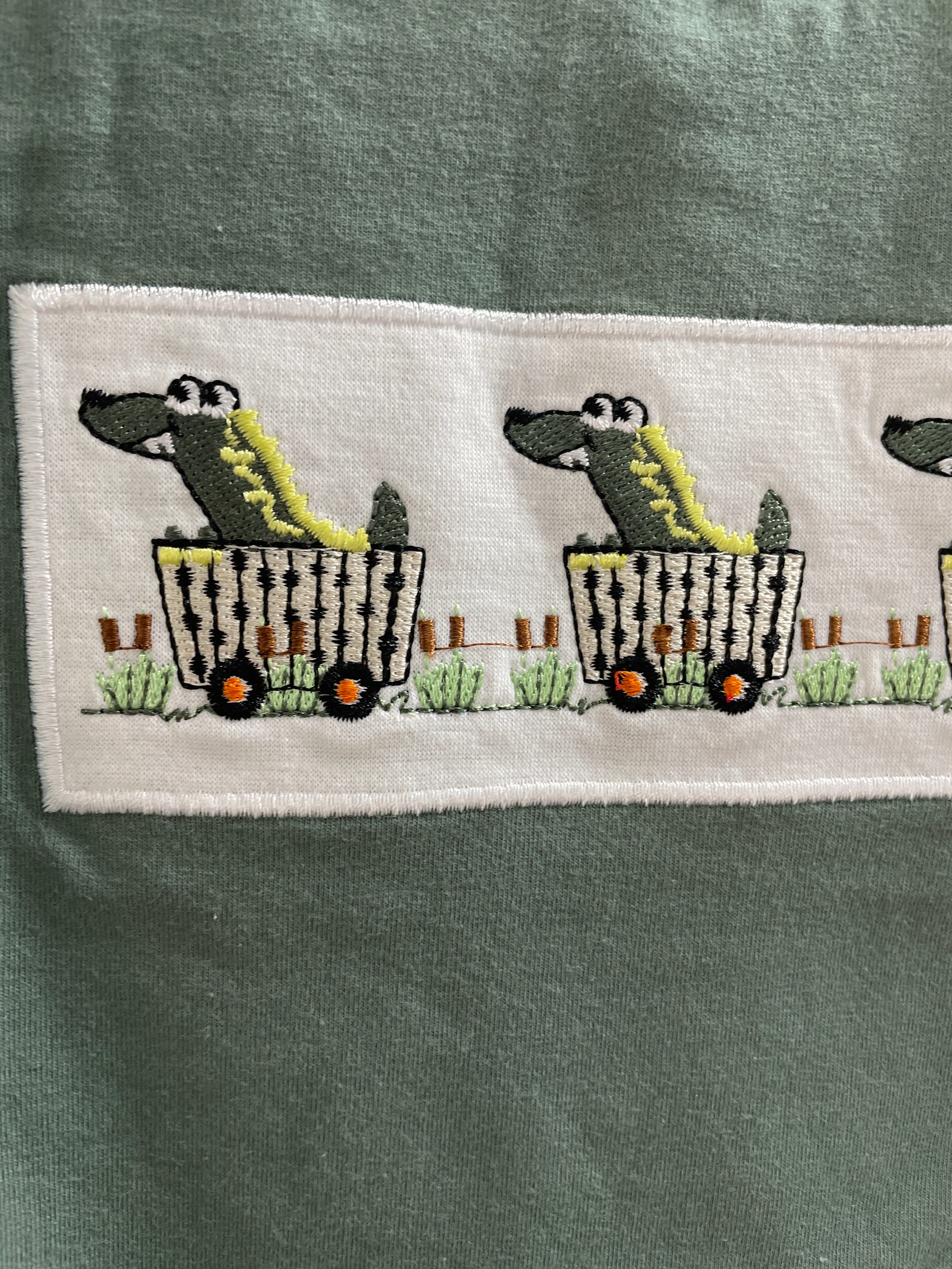 2-3 Year Dino Train Outfit