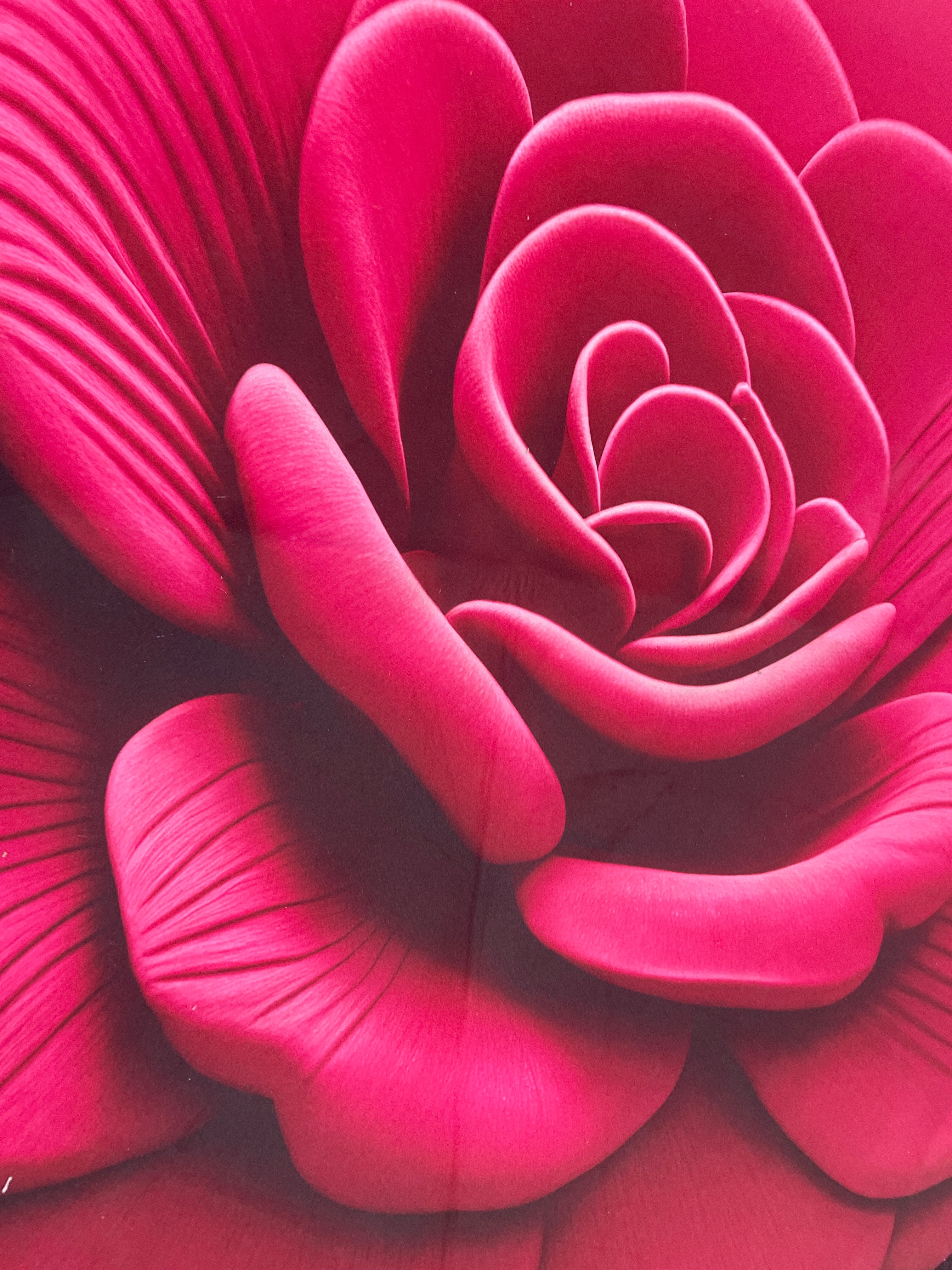 Rose Rug