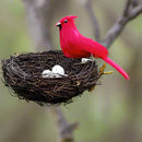 Natural Rattan Bird's Nest