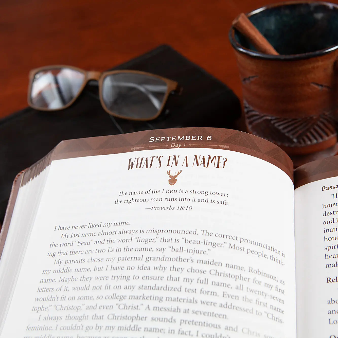 Daily Strength For Men 365-Day Devotional