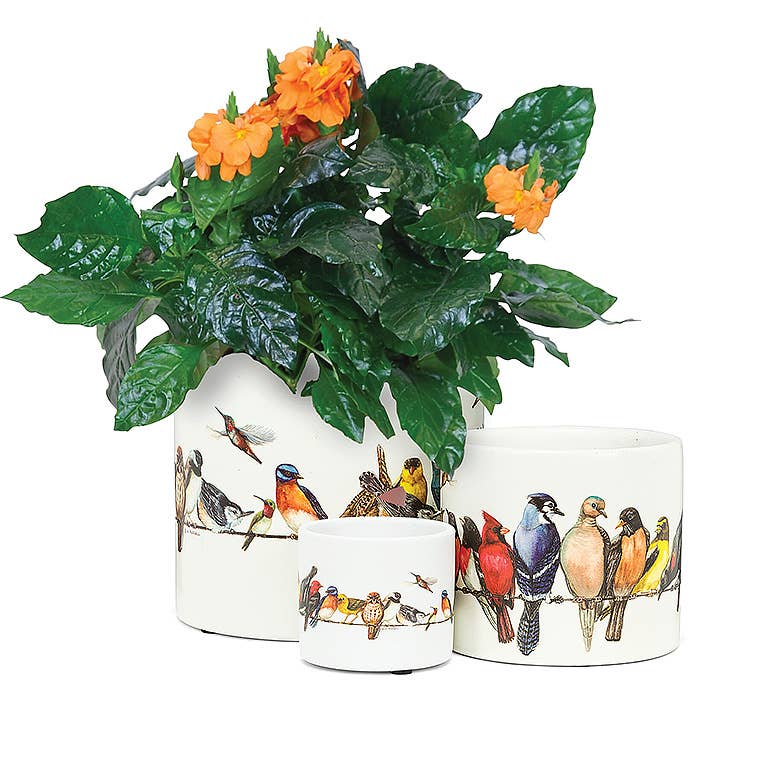 Sm Birds on Wire Planter-4.5" D